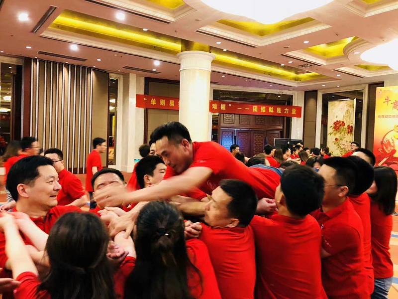 生命之樹，爬人梯